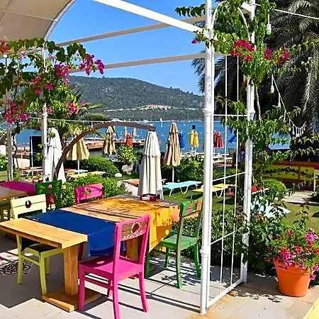 Toka & Club 호텔 Bodrum