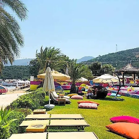 Toka & Club 호텔 Bodrum